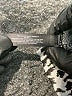 Massini Animal Print Gray Casual Dress Size XL - photo 8