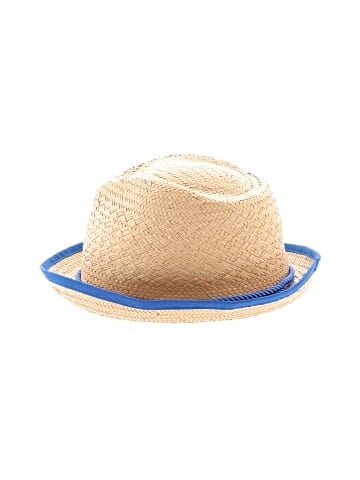 Ann Taylor Fedora (view 1)
