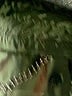 Unbranded Green Raincoat Size L (estimated) - photo 6