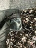 Lucent Tweed Black Jacket Size M - photo 8