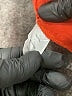 Lost + Wander Solid Orange Shorts Size S - photo 4