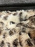 Unbranded Brown Vest Size S (estimated) - photo 6