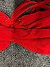 Assorted Brands Red Swimsuit Top Size S (estimated) - photo 3