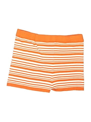 Daisy Board Shorts (view 2)