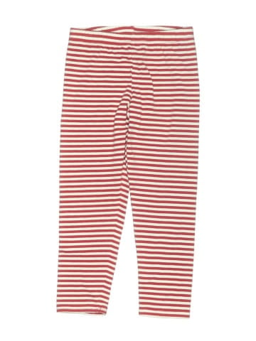 Counting Daisies Casual Pants (view 1)