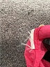 J.Crew Pink Casual Dress Size XS - photo 8