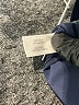 Stylus Solid Blue Casual Pants Size XL - photo 8
