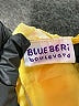 Blueberi Boulevard Yellow Dress Size 3T - photo 3