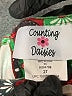 Counting Daisies Green Dress Size 2T - photo 3