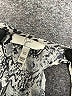Joie 100% Silk Animal Print Silver Cocktail Dress Size XS - photo 7