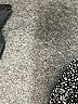 Cj Banks 100% Polyester Gray Silver Sleeveless Blouse Size 1X - photo 8