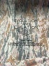 Evolution and Creation Print Pink Active Pants Size L - photo 7