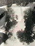 Evolution and Creation Print Silver White Active Pants Size XL - photo 4
