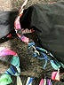 Unbranded Floral Black Swimsuit Top Size XS (estimated) - photo 3