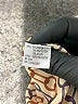 Muse Metallic Gray Casual Dress Size 8 - photo 8