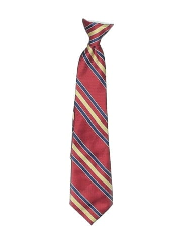 In Design Necktie (view 1)