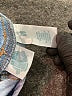 Extremely Me Blue Jeans Size 7 - 8 - photo 3