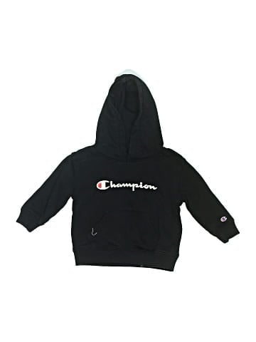 Champion Pullover Hoodie (view 1)