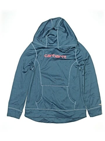 Carhartt Pullover Hoodie (view 1)