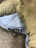 J.Crew 100% Polyester Blue Formal Skirt Size S - photo 3