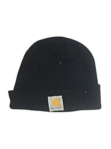 Carhartt Beanie (view 1)