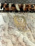 Anne Klein Animal Print Brown 3/4 Sleeve Blouse Size 1X - photo 7