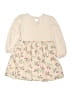 Baby Gap Ivory Dress Size 4T - photo 2