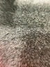 Hollister Black Vest Size L - photo 8