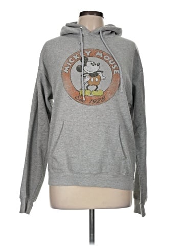 Disney Parks Pullover Hoodie (view 1)