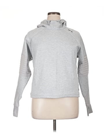 Puma Pullover Hoodie (view 1)