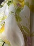 Nine Britton 100% Polyester Yellow Long Sleeve Blouse Size 3X - photo 7