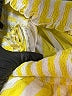 Lovewave 100% Viscose Stripes Yellow Shorts Size XXS - photo 3