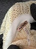 Free People Ivory Turtleneck Sweater Size M - photo 7