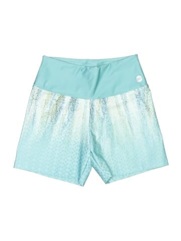 Assorted Brands Board Shorts (view 1)
