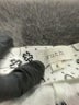 Ruth Print Gray Casual Skirt Size 4 - photo 4