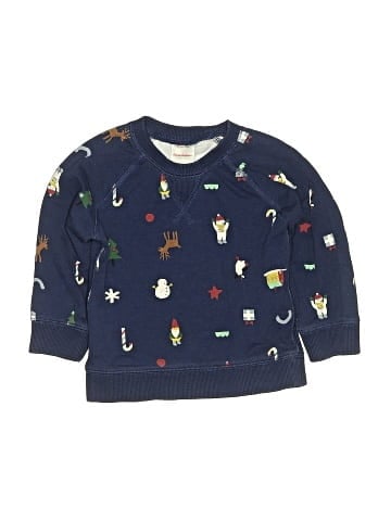 Hanna Andersson Sweatshirt (view 1)