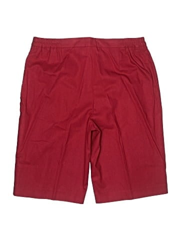 Chadwicks Shorts (view 2)