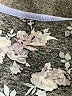 Assorted Brands 100% Cotton Black Casual Dress Size L (estimated) - photo 7