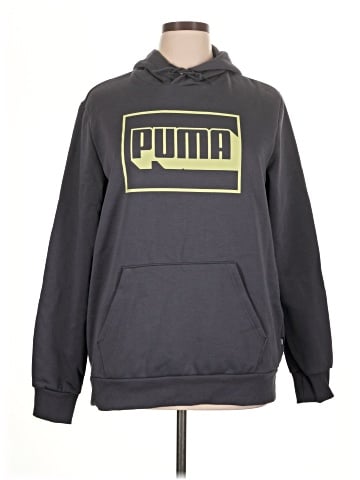 Puma Pullover Hoodie (view 1)
