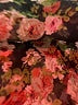 MNG Floral Black Casual Dress Size 14 - photo 8