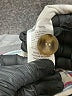 Left Coast by Dolan White Blazer Size S - photo 8