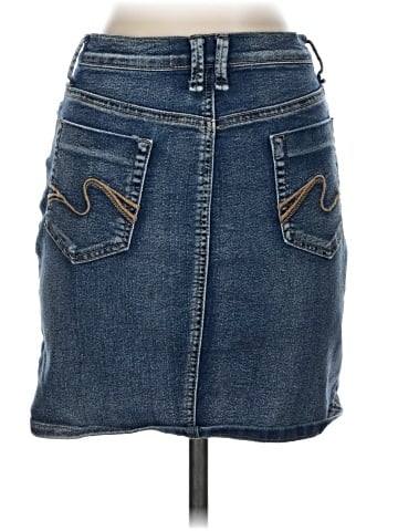 Venus Denim Skirt (view 2)