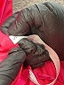 Unbranded 100% Polyester Pink Cocktail Dress Size 8 - photo 4