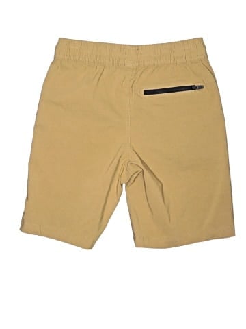 DKNY Khaki Shorts (view 2)
