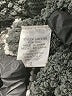 La Miel Gray Cardigan Size L - photo 8