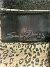 Seven7 Animal Print Brown Casual Pants Size 10 - photo 7