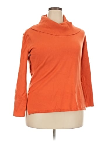 Fashion Bug Turtleneck Sweater (view 1)