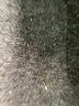 Flawless Blue Jeans Size 18 - photo 5
