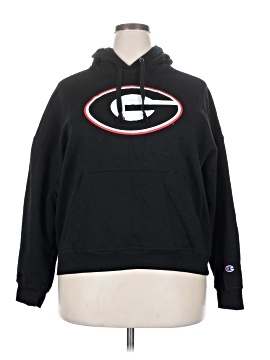 Champion Pullover Hoodie (view 1)