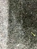 Mine 100% Polyester Yellow Sleeveless Blouse Size S - photo 8
